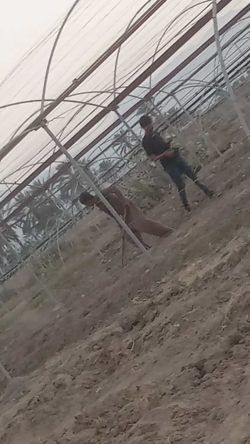 گلخونه