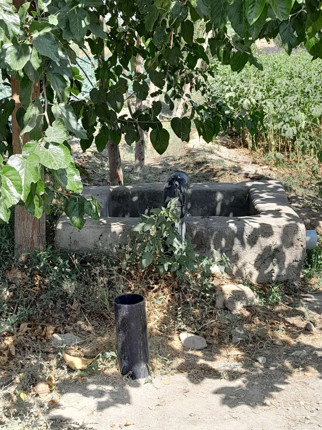 فروش باغچهی ۵۰۰ متری با سند تکبرگ و امکانات کامل