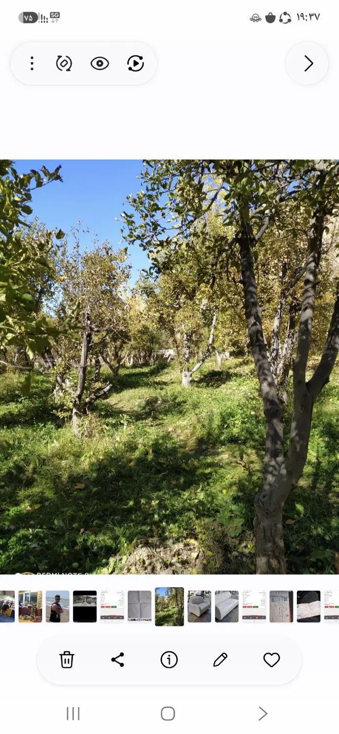 زمین ییلاقی باغی