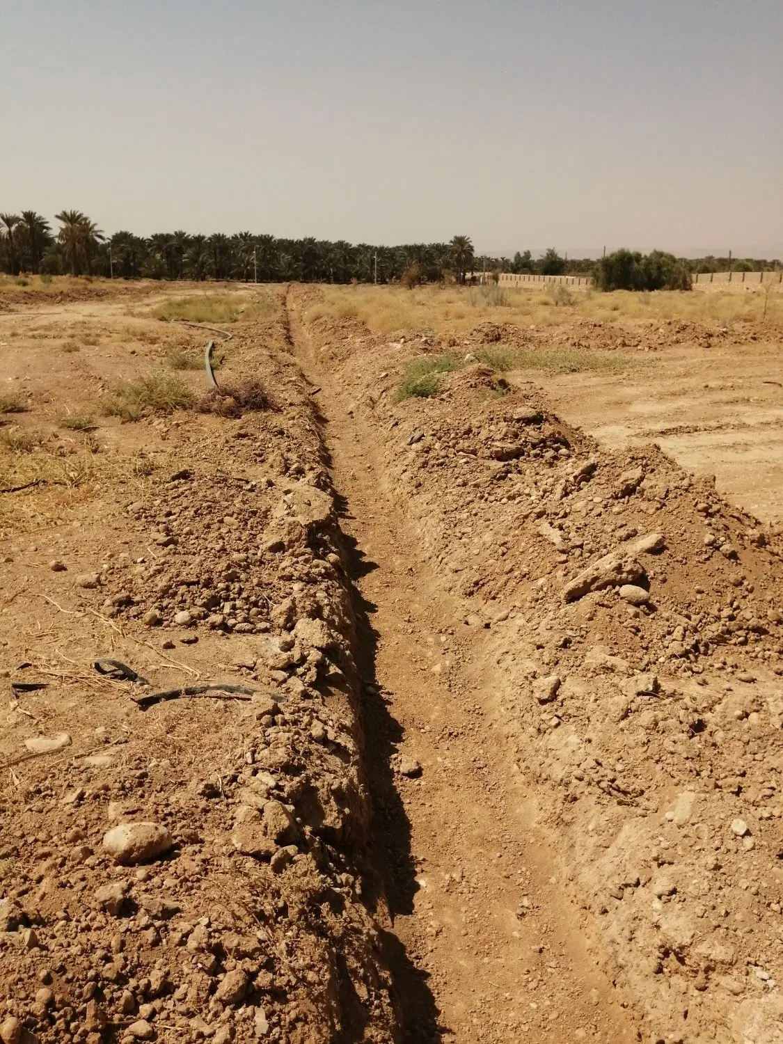 زمین باغ شهری
