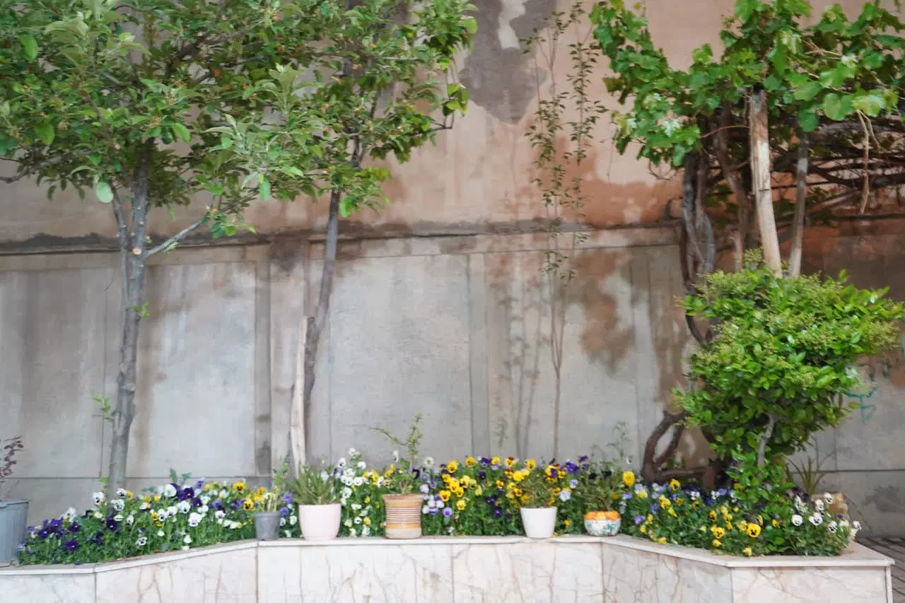 فروش مسکونی ویلای