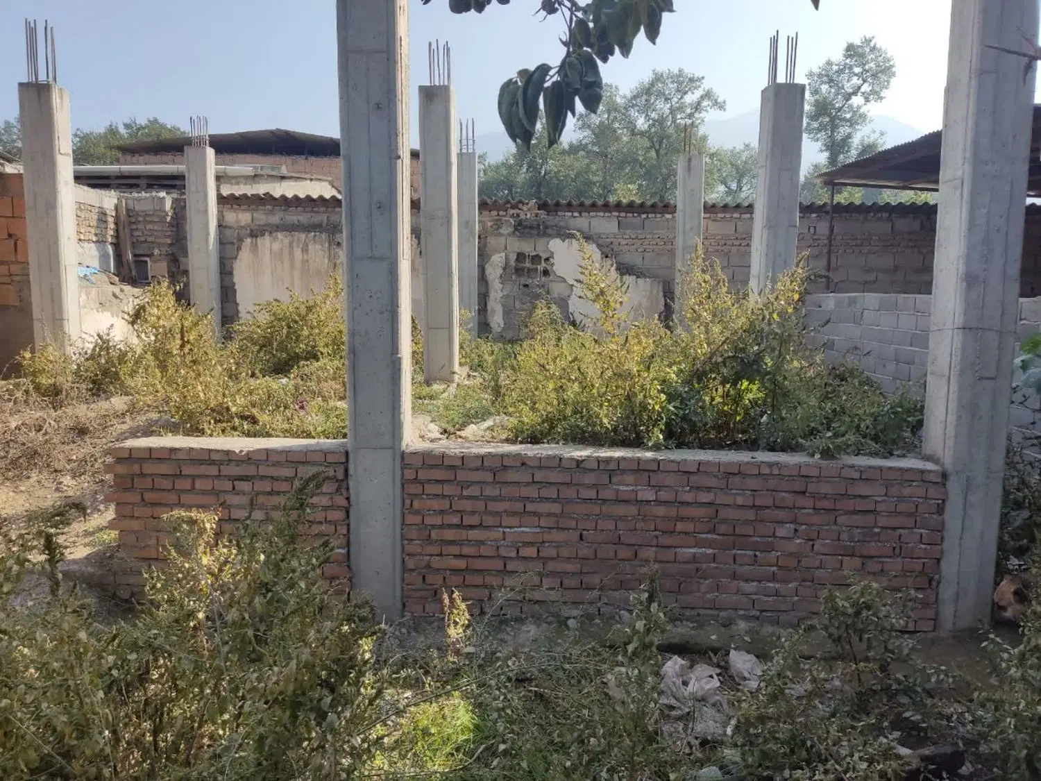 زمین مسکونی