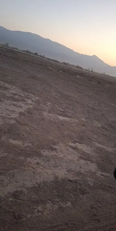 زمین فروشی