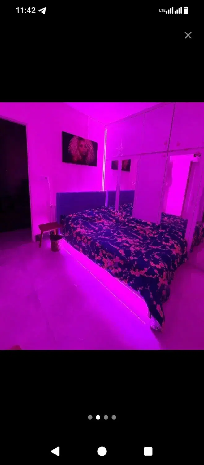 سوییت
