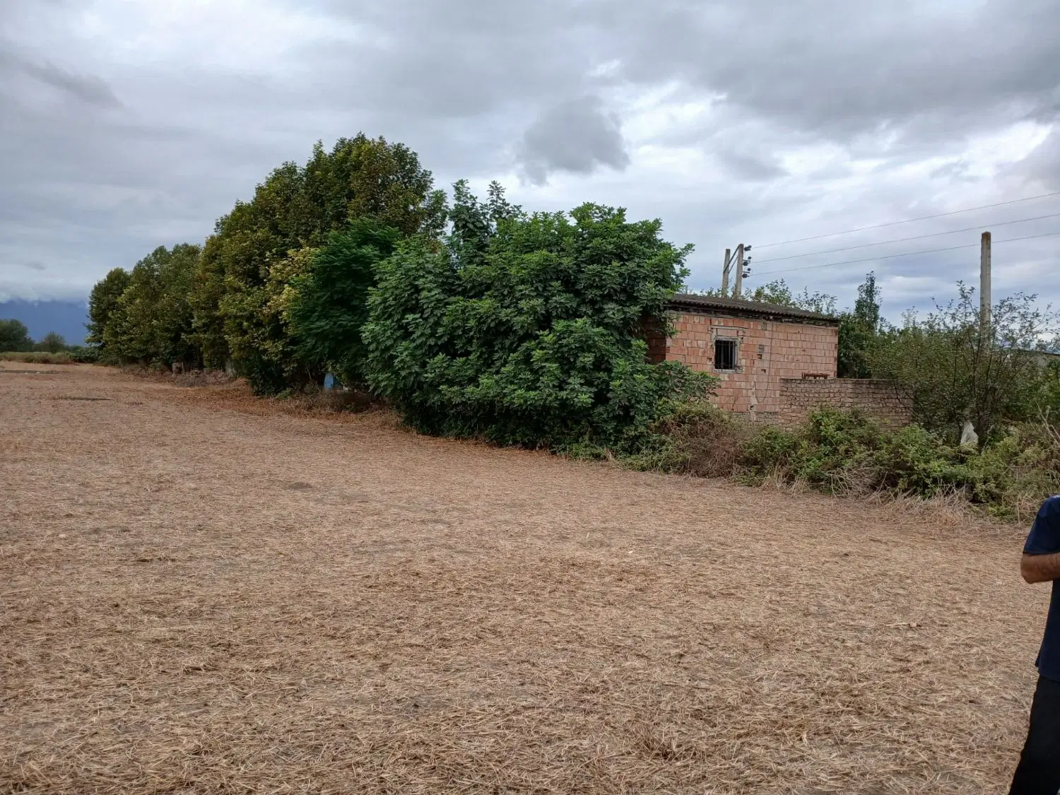 زمین کشاورزی