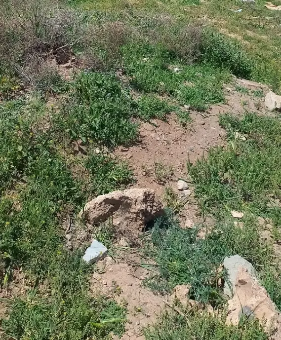 زمین مسکونی
