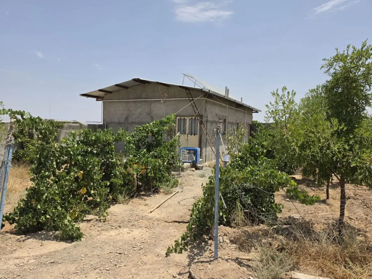 فروش زمین اسفهرود