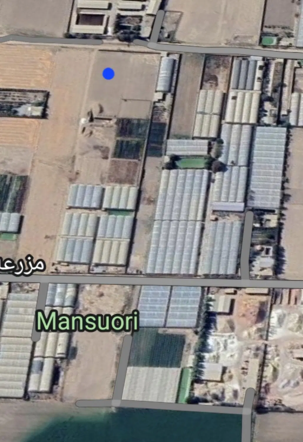زمین ۴ دیواری باغ و باغچه