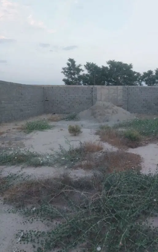 زمین مسکونی سند تکبرگ بنه گز