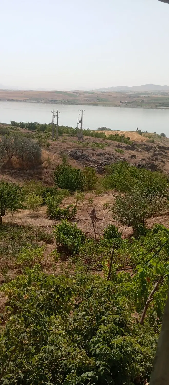 خانه باغ