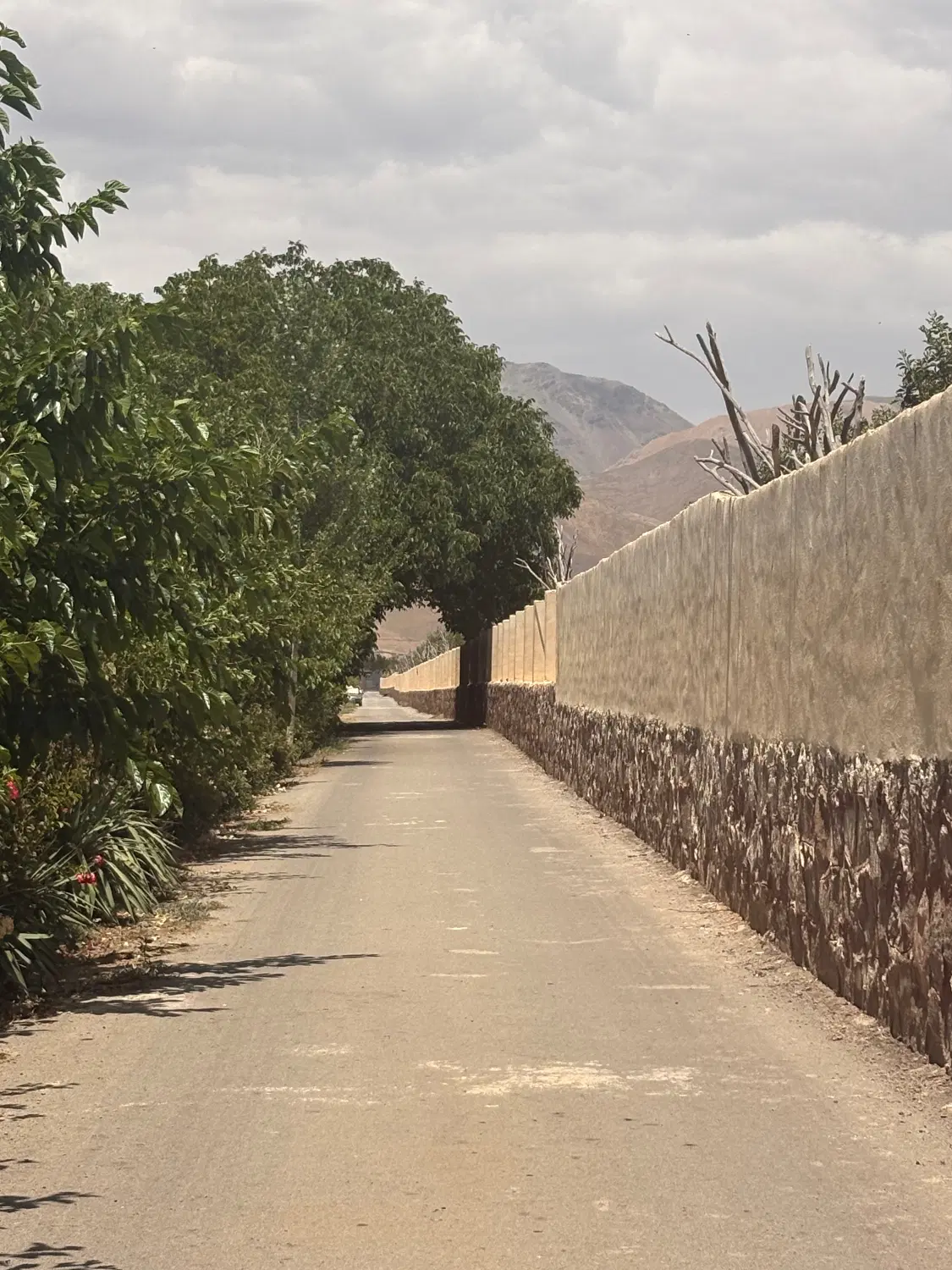 ۴۳۰ متر جابان دماوند تک برگ اشعابات نقشه هوایی