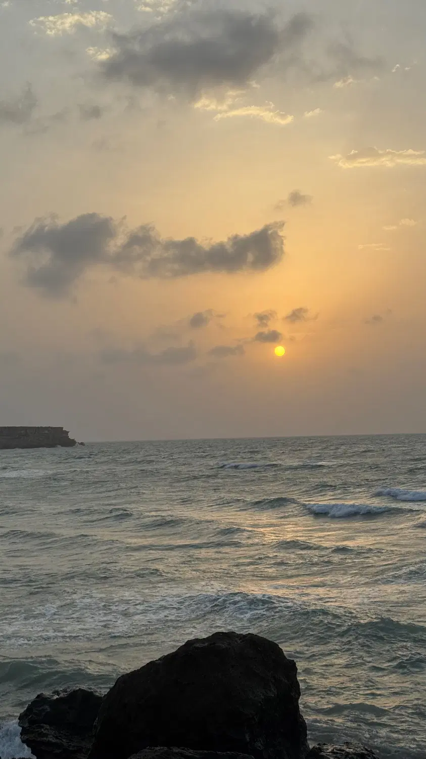زمین