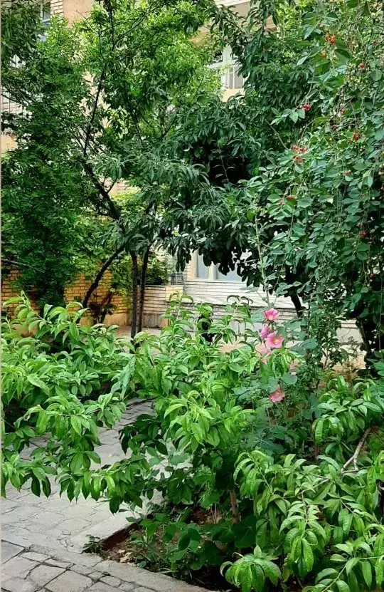۳۳۳خانه ولیعصر تختی قطعه جنوبی