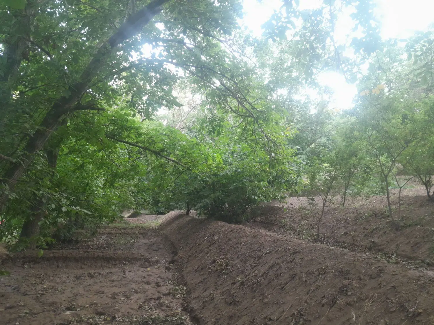 فروش یک قطعه زمین در روستای آهق