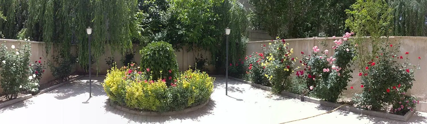 باغ انگور و آلوچه تک برگ سند فول امتیازات