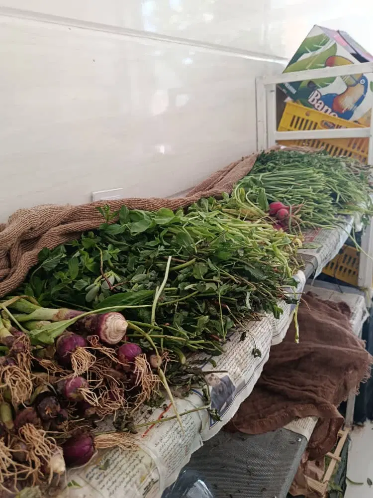 فروش تجاری بلوارصداقت