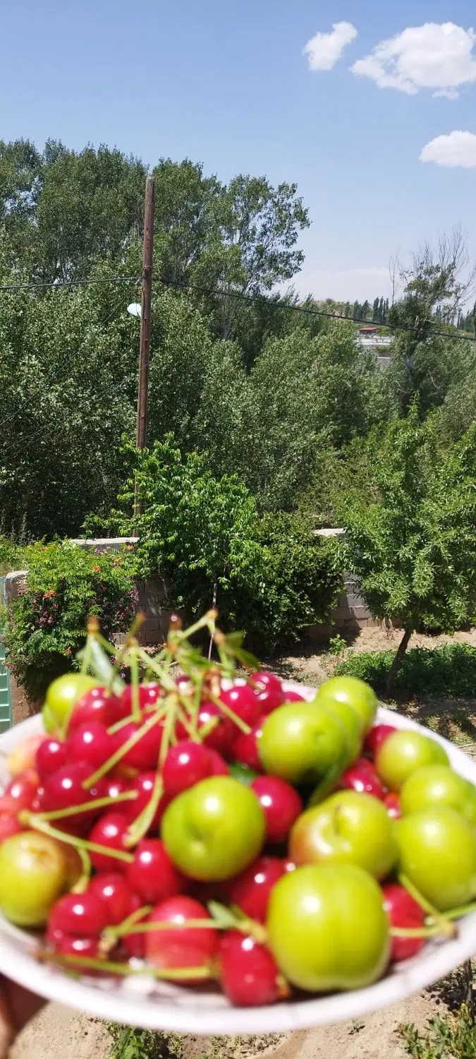 خانه باغ فروشی روستای چیر