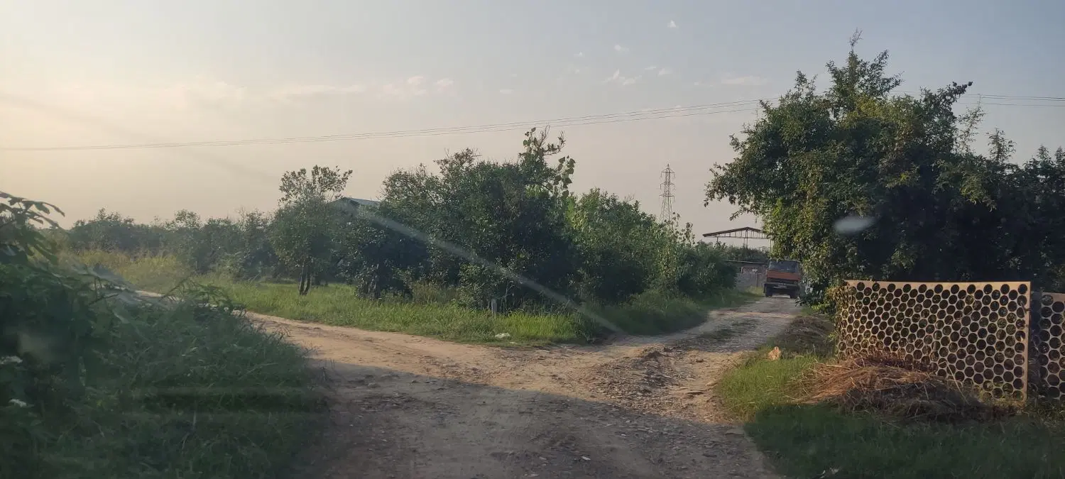 زمین باغی