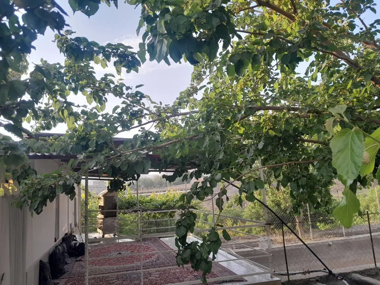 فروش خانه باغ در سنندج