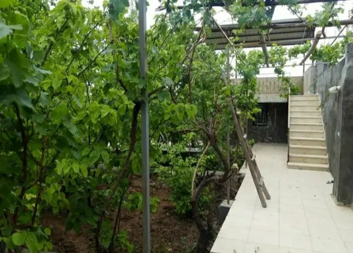 رهن و اجاره همکف حیاط اختصاصی