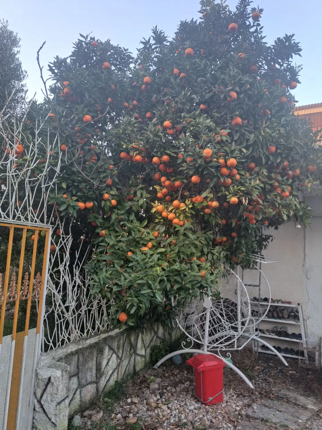 75متر پارکینگ دار