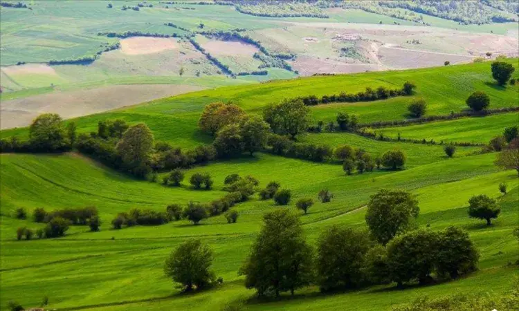 زمین در فرهنگیان شمالی ولی اباد