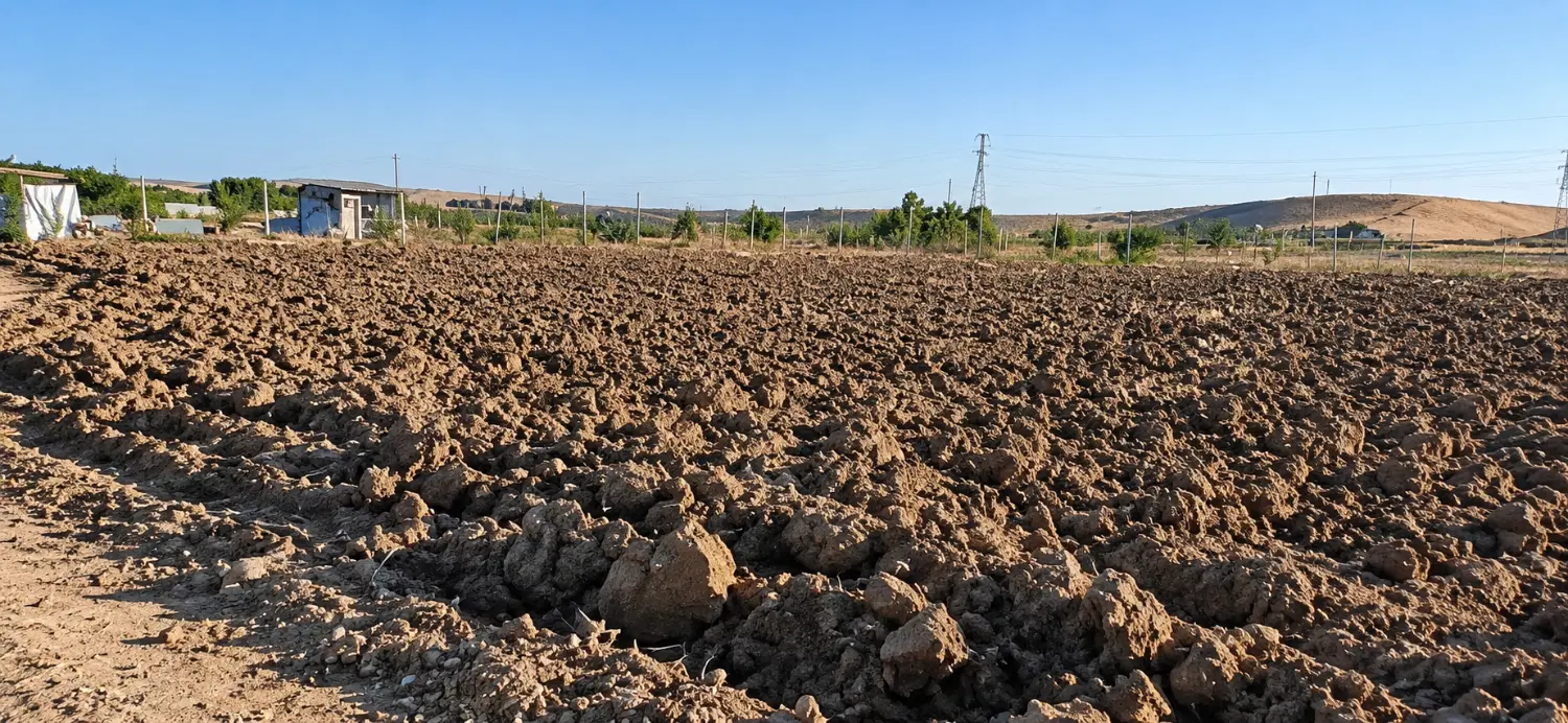 زمین سنددار شینقر