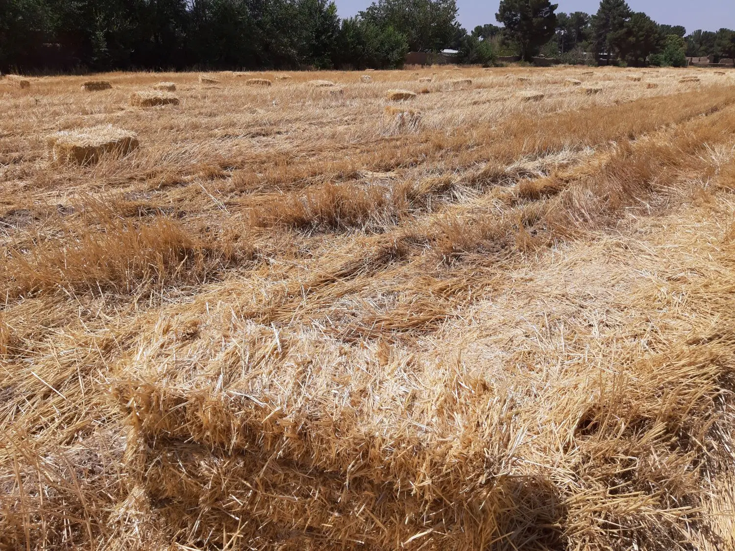 زمین صنعتی،