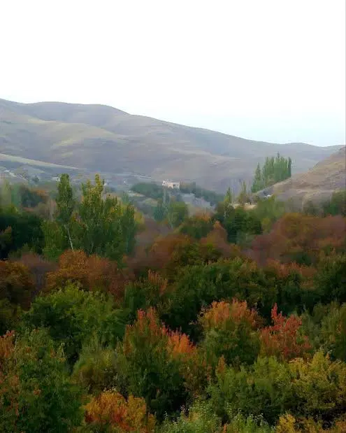 باغ ویلا