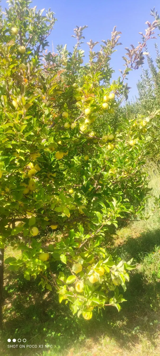 زمین فروشی