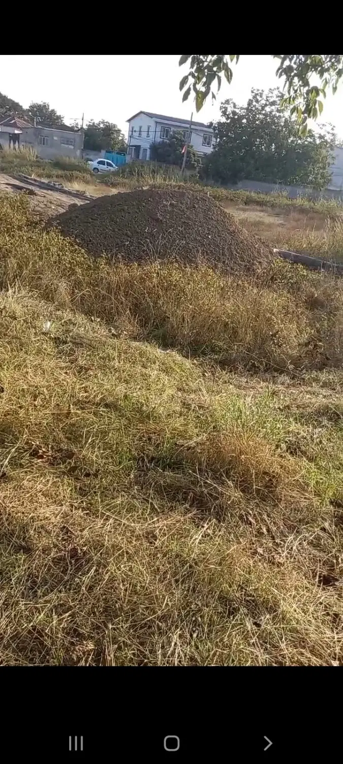 زمین مسکونی