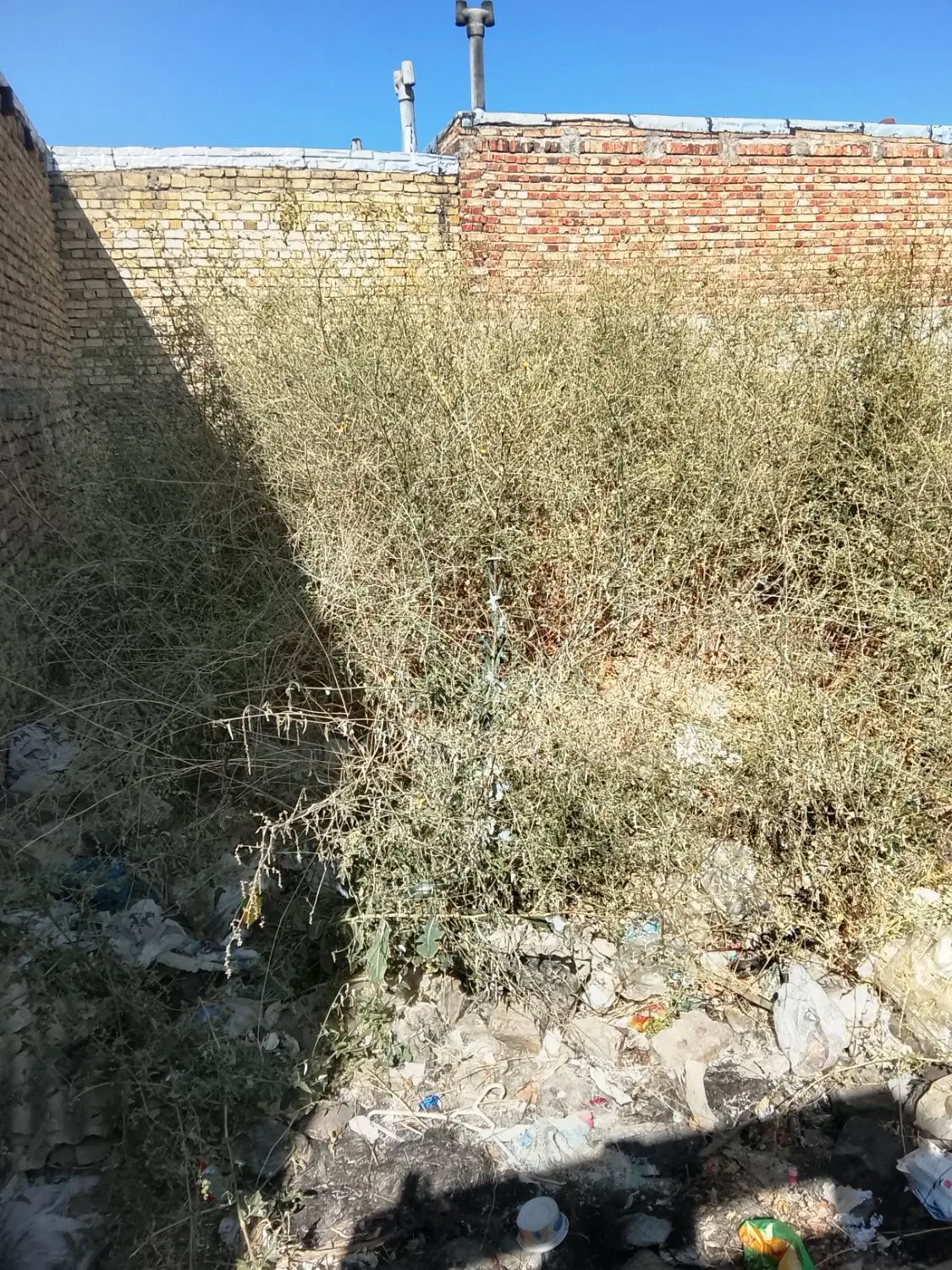 زمین درجارچله