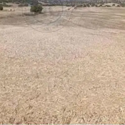 فروش زمین در روستای بنوبند پارسیان