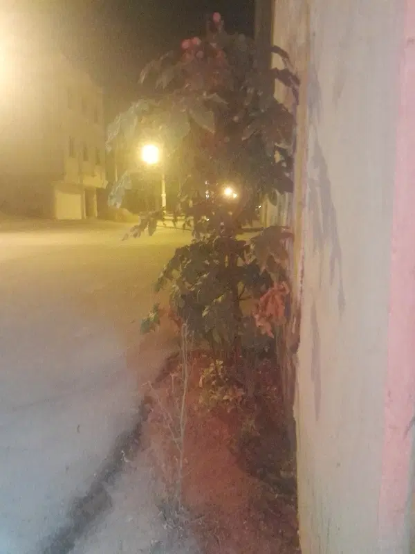 خانه سه طبقه بلوار جمهوری  کوچه اولیا