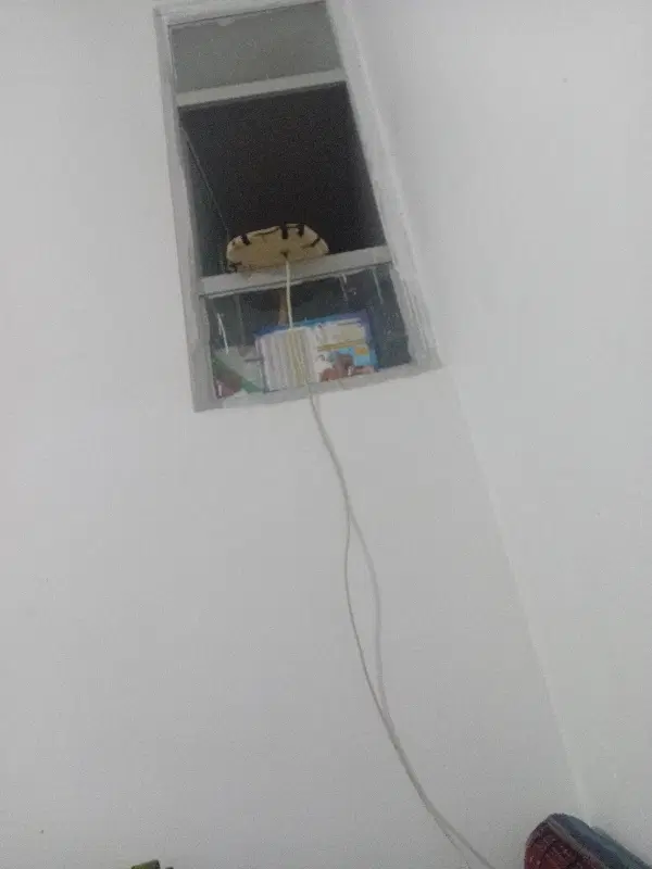 خانه‌اجاره‌ای