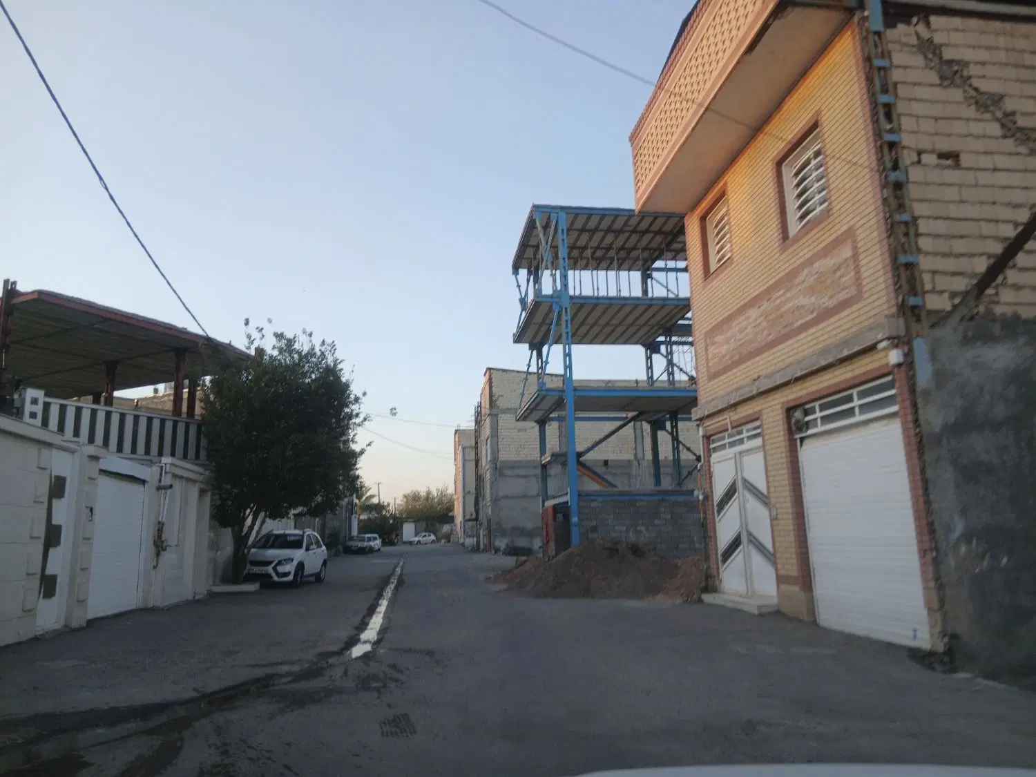 زمین سند تک برگ پروانه