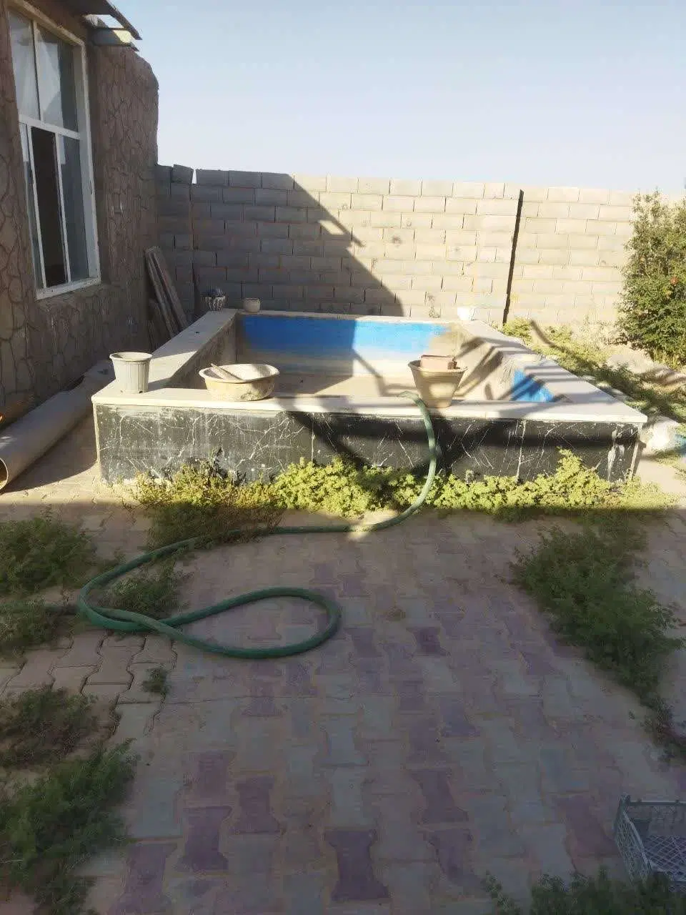 باغ دهنو