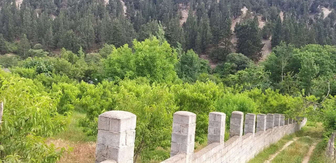 زمین 930 متری با جواز ساخت