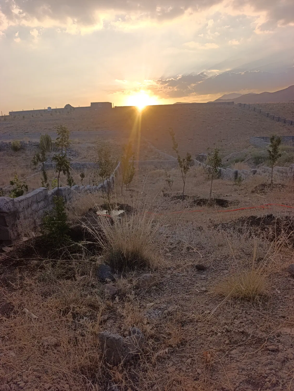 زمین ۳۲۰متری سند تک برگ