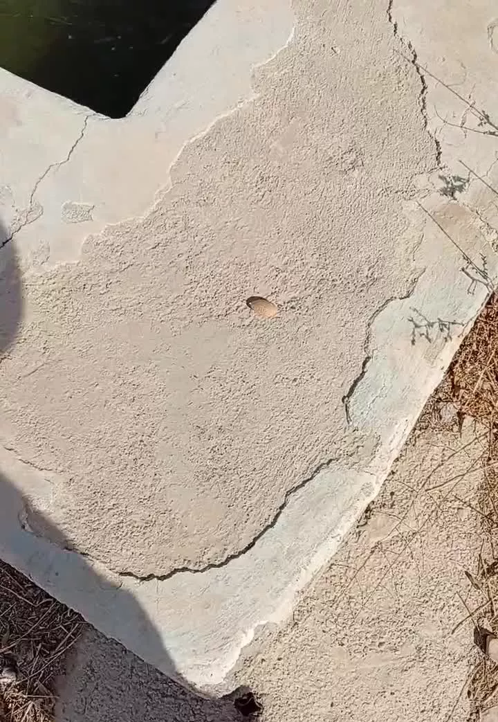 باغ ۳۰۰۰متر ۲ساعت آب. مناسب
