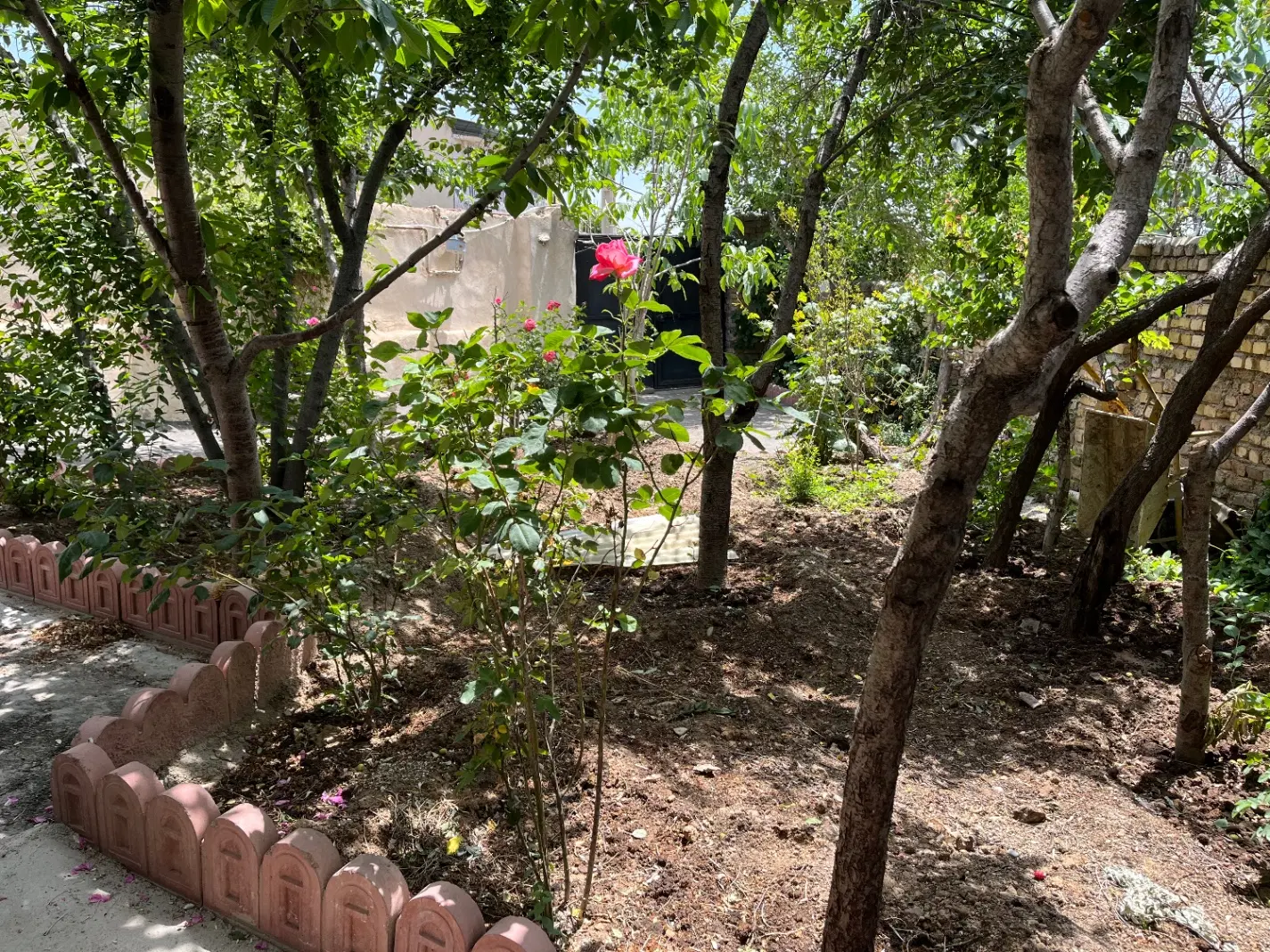اجاره سوییت ۵۰ متری