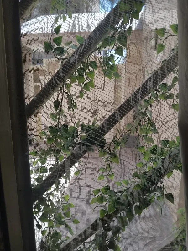 اجاره آپارتمان تکواحدی