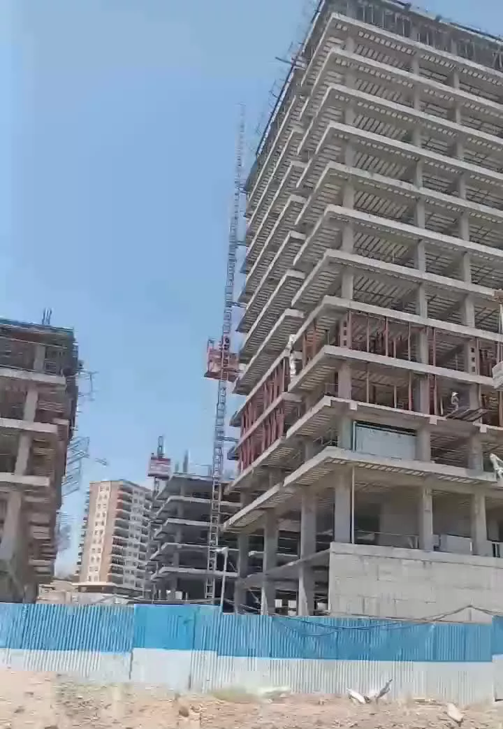 هزاره صدف سم ا زا گرس نیک ان  ونوس