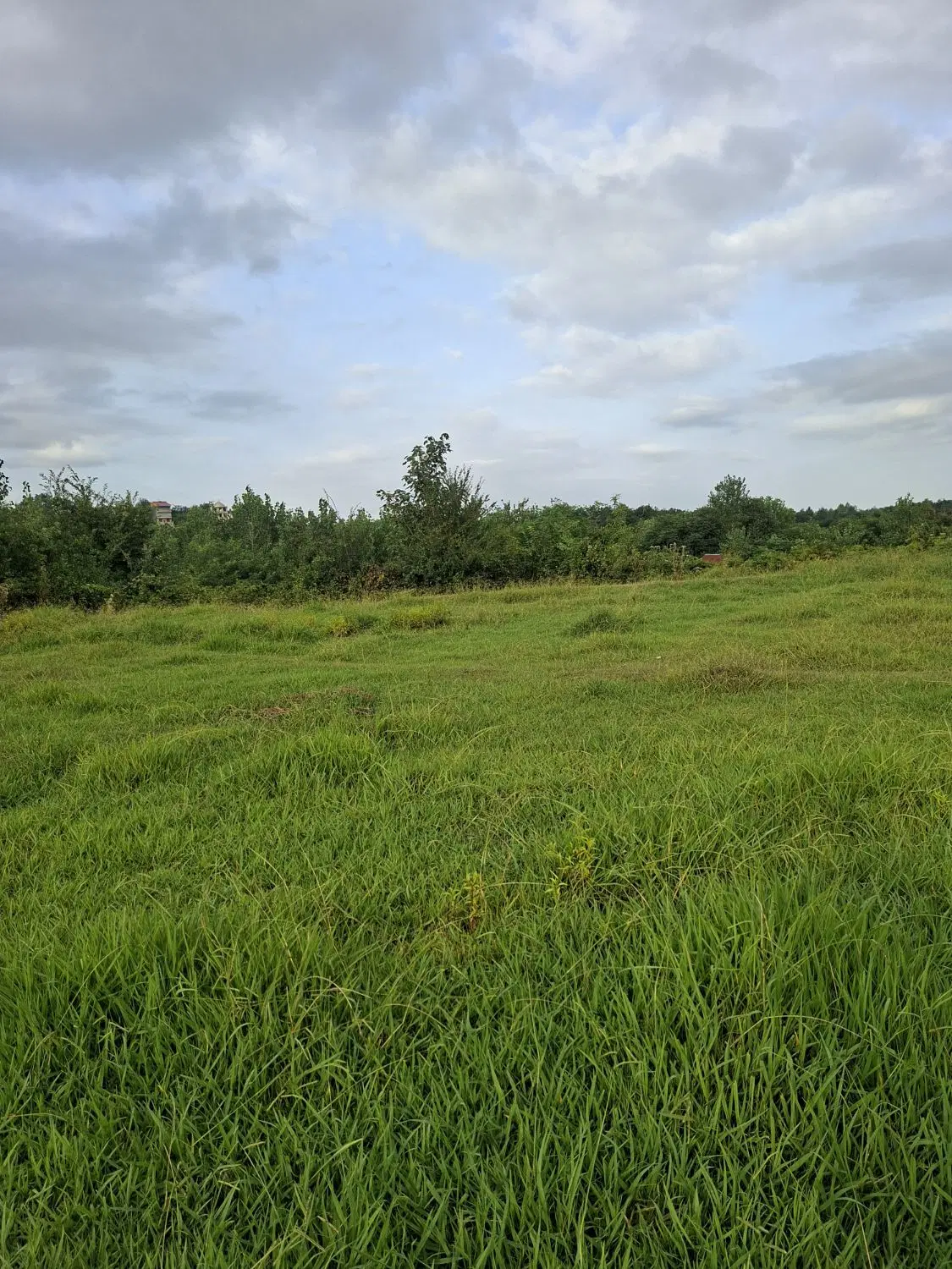 220 مترمسکونی