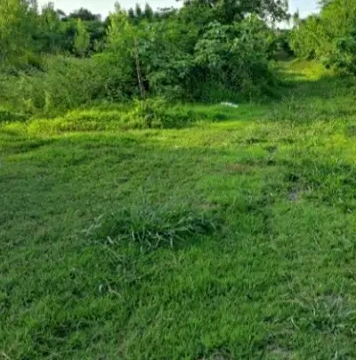 قطعه زمین  ۲۲۰ متری  نزدیک به ساحل منطقه آزاد