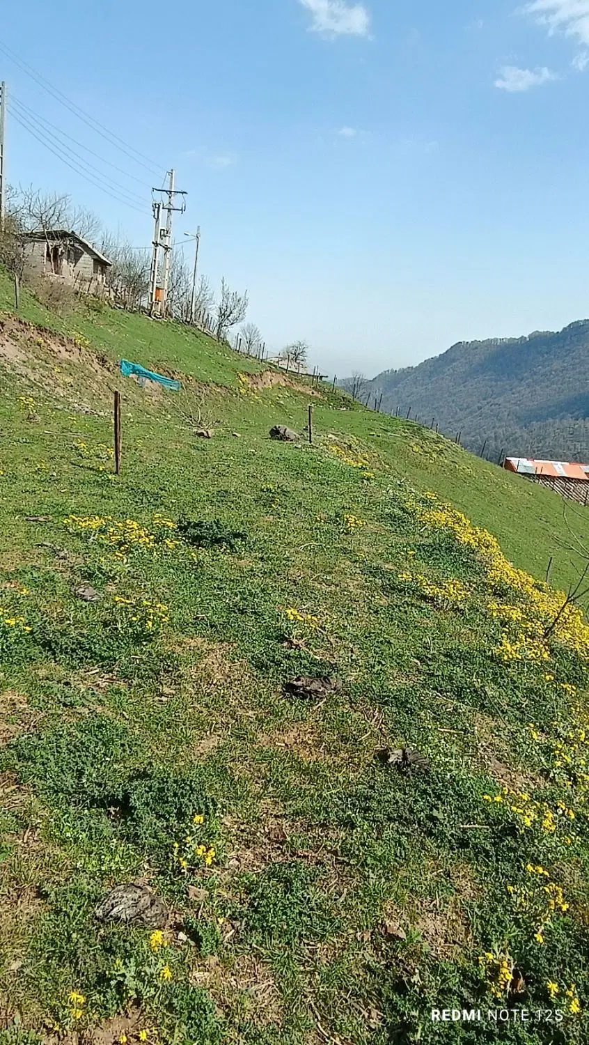 زمین شمال گیلان (تالش)