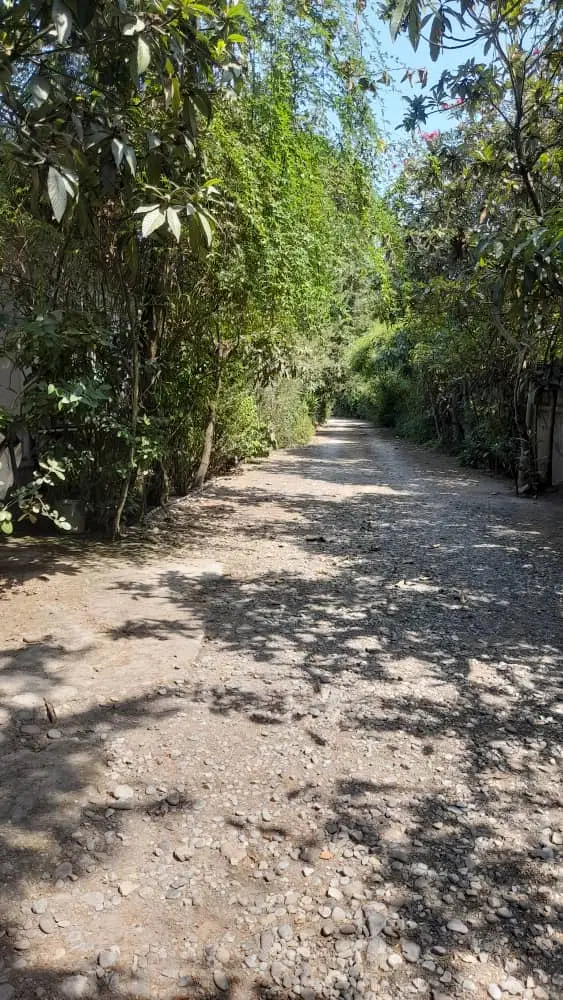 رهن واجاره سوییت