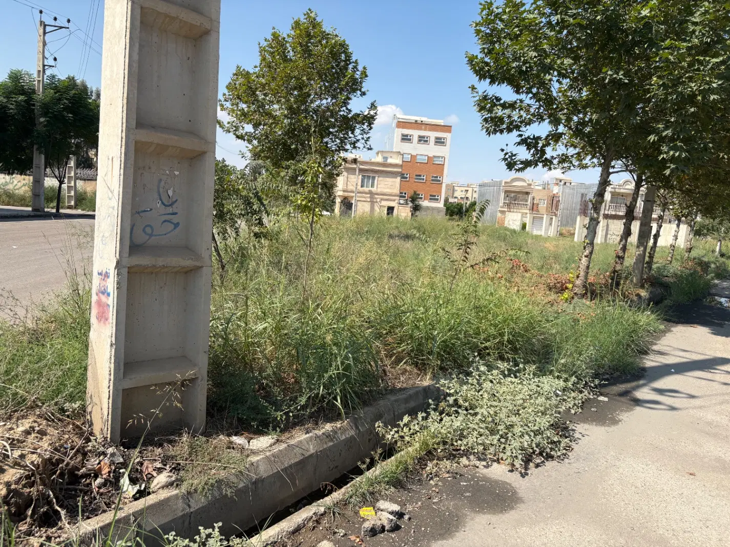 زمین ۲۴۱ متری دو نبش روبروی دانشگاه آزاد