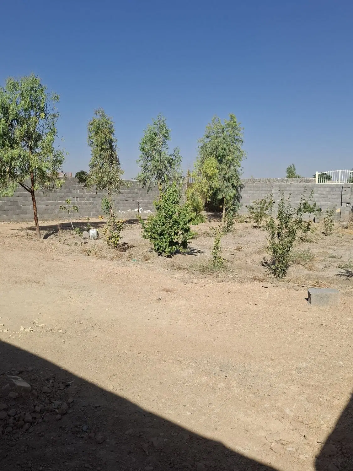 چهار دیواری باغی دستجا