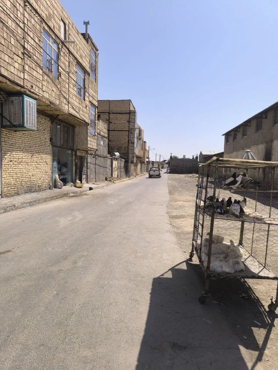 زمین ۱۲۵ متری قولنامه هولوگرام دار